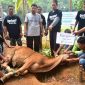 Kegiatan pemotongan hewan Qurban Laz Harfa Banten, tahun lalu / ISTIMEWA
