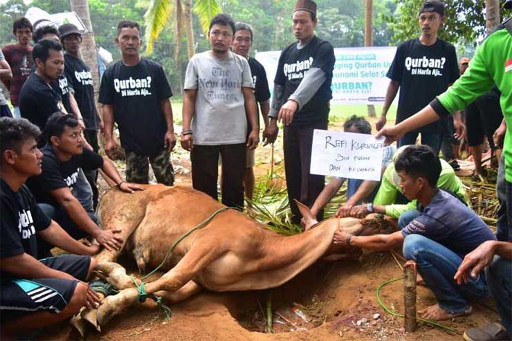 Kegiatan pemotongan hewan Qurban Laz Harfa Banten, tahun lalu / ISTIMEWA
