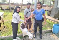 Manager Nunia Tamansari Hotel, Nadya Anathassya, saat lakukan penyerahan hewan qurban ke Polda Banten, Rabu (28/6/2023). ISTIMEWA 
