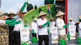 Tanam Cabai. (Foto: Istimewa)