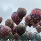 Festival Balon Tembong City. (Foto: Istimewa)