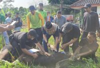 Ketua DPD PKS Kota Serang, Hasan Basri saat hendak menyembelih hewan Kurban di Moment Idul Adha 1446 H. (Foto: Istimewa)