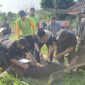 Ketua DPD PKS Kota Serang, Hasan Basri saat hendak menyembelih hewan Kurban di Moment Idul Adha 1446 H. (Foto: Istimewa)