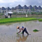 (Foto: Istimewa)