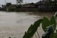 (Foto: Istimewa)