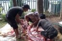 Suasana Pemotongan Hewan Qurban, Kolaborasi Kebaikan Hotel Wisata Baru dan PT Debindo. (Foto: Istimewa)