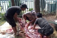 Suasana Pemotongan Hewan Qurban, Kolaborasi Kebaikan Hotel Wisata Baru dan PT Debindo. (Foto: Istimewa)