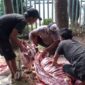 Suasana Pemotongan Hewan Qurban, Kolaborasi Kebaikan Hotel Wisata Baru dan PT Debindo. (Foto: Istimewa)