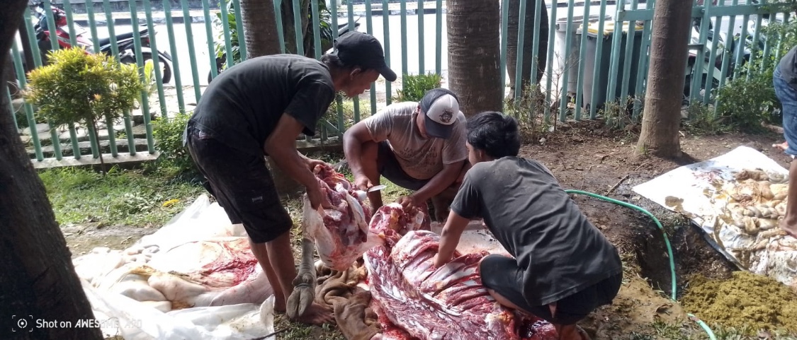 Suasana Pemotongan Hewan Qurban, Kolaborasi Kebaikan Hotel Wisata Baru dan PT Debindo. (Foto: Istimewa)